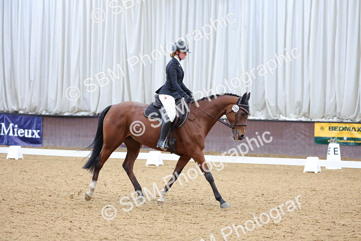 SBM_003874 - Novice