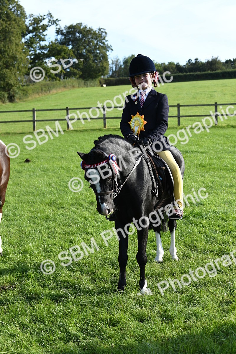 SBM_52444 - S22 - 1st Ridden Show & Show Hunter Pony