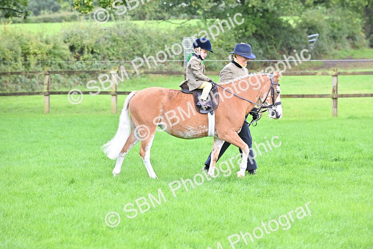 SBM_38320 - S19 - Lead Rein Show & Show Hunter Pony