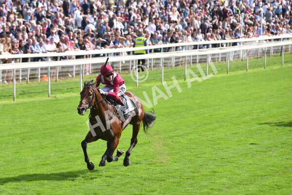 yr18082021r4-89 - Race 4 3.35pm Juddmonte International Stakes (British Champion Series race)