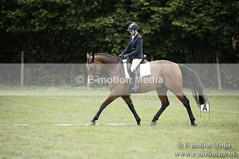 BVR080918 312 - BVRC Novice Dressage & CR 08/09/18
