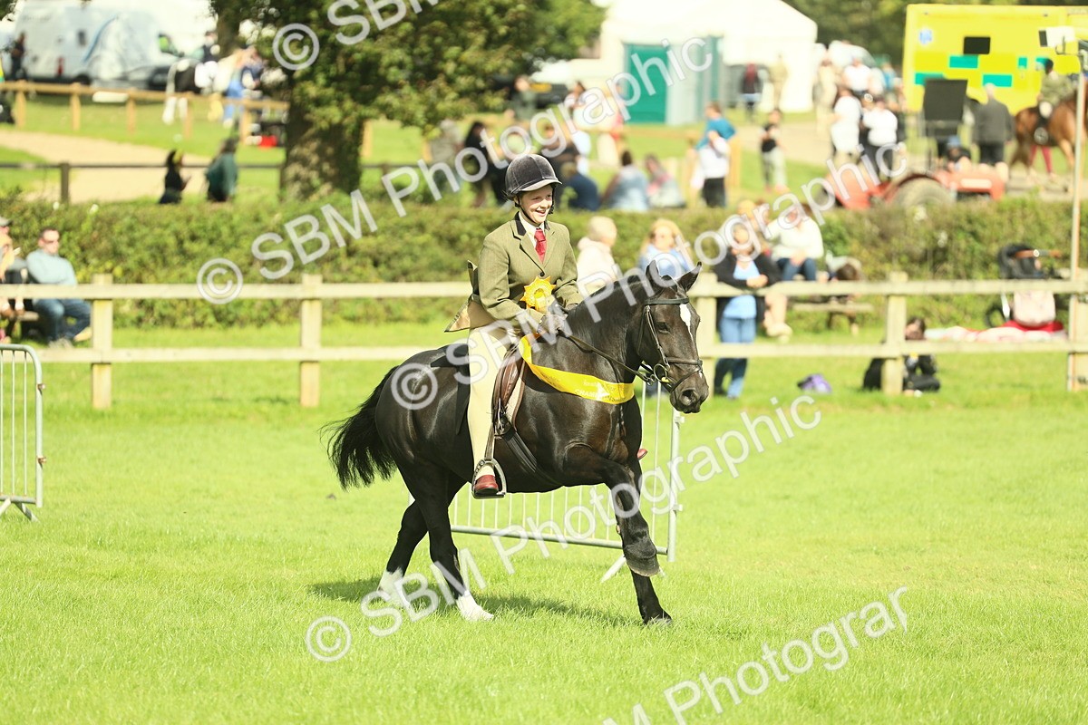 SBM_44842 - S31 - Working Hunter Pony