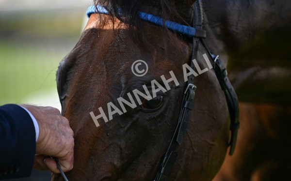 220825-289 Fifth Column - Race 7 5.20pm Sky Bet Mile Handicap