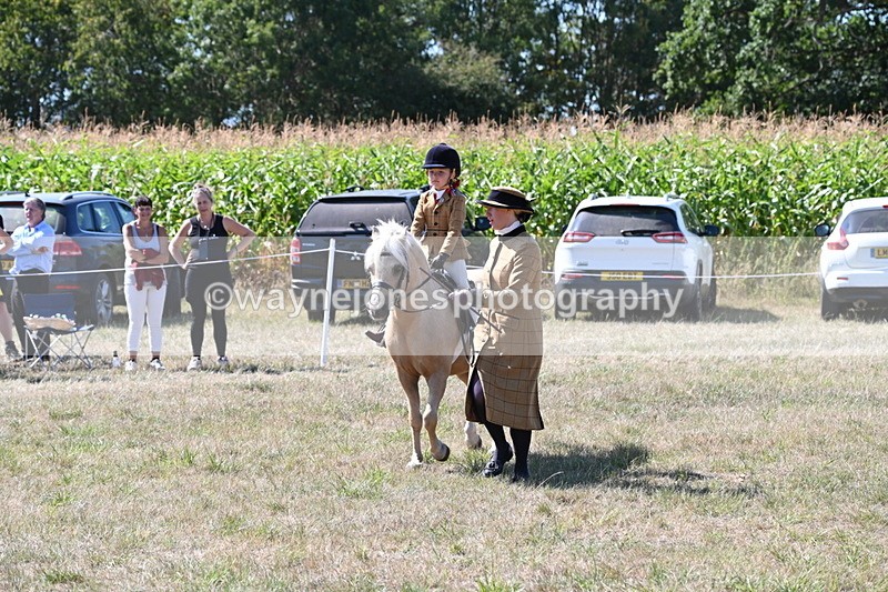 WJ6_8061 - Class 36 Lead Rein