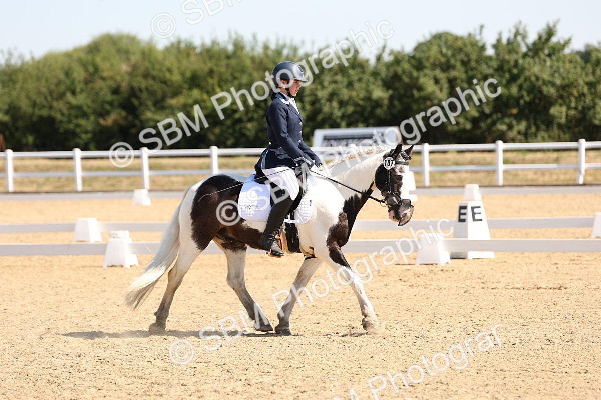 SBM_001030 - Intro 2