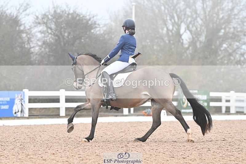 240217A-093107-00381 - 215-Olivia.Luscombe-Caederwin.Lady.Elinor
