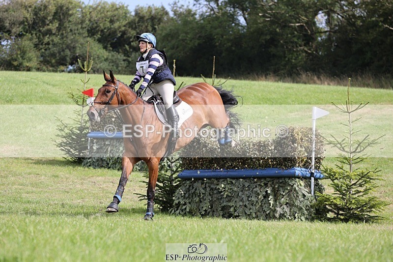 240831A-111416-01021 - 007-Carolyn.Price-I.WISH.ANDY