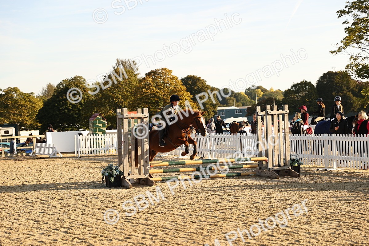 SBM_57224 - J11 - Junior Pony 50cm Championship