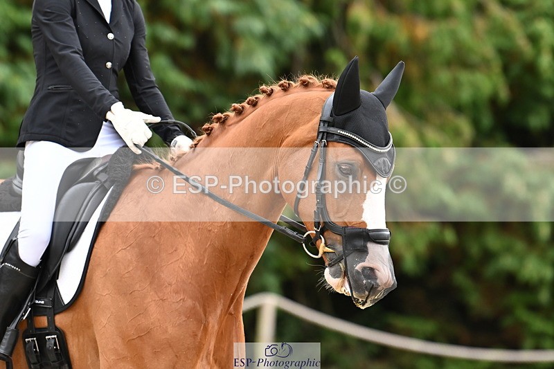 250808A-111928-00450 - 140-Laima.Davies-Romero