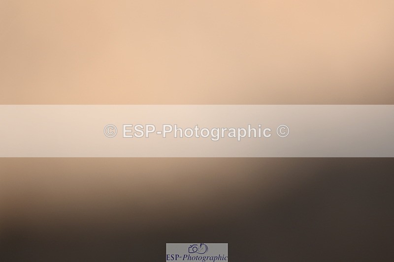 240323A-114715-02699 - DR Novice 34