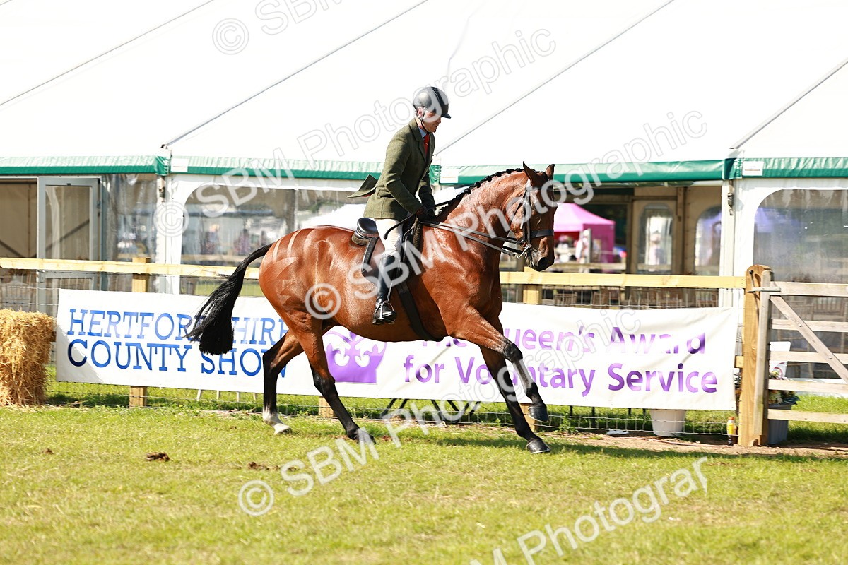 SBM_11943 - Class 66-69 - RIHS Ridden Hunters Inc Small Hunter
