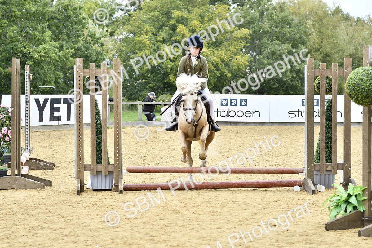 SBM_65394 - J2a mini Tour Junior Pony 30cm Championship