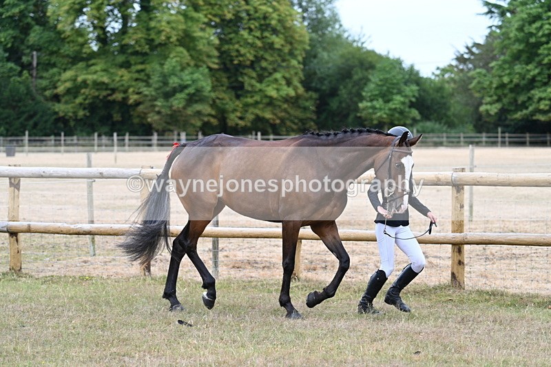 WJ7_8792 - Class 4a Prettiest Mare 14.2hh and over