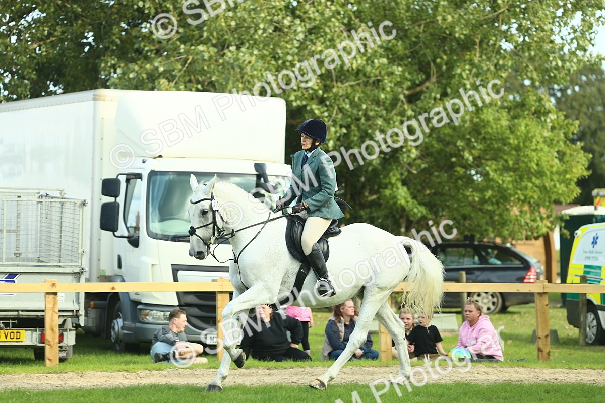 SBM_50711 - S33 - Working Hunter & Working Show Horse
