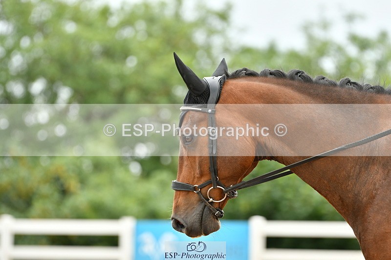 230701A-113453-04977 - Cls 9 Music Elementary