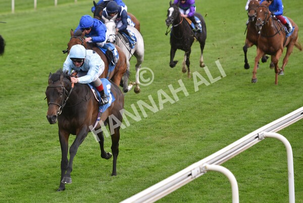 yr14052021r2-18 - Race 2 2.10pm Oak Farm Stables Fillies' Stakes (registered as the Michael Seely Memorial Stakes)