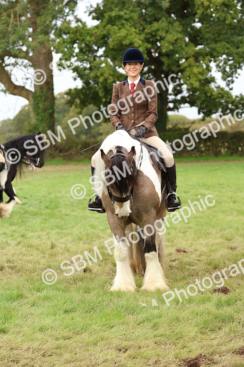 SBM_64448 - S58 - Coloured Pony Ridden