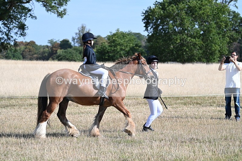 WJ7_2994 - Class 8 Ridden Tack & Turnout