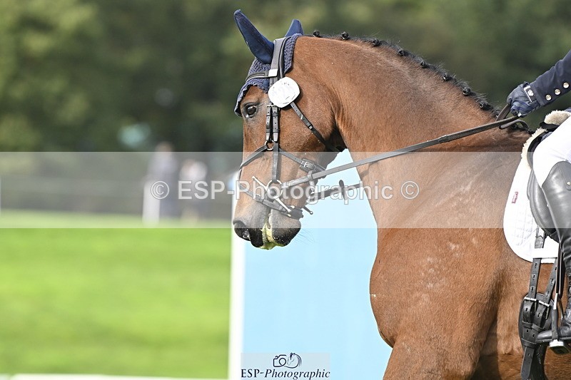 251023A-140929-04270 - D-328-Julia.Knight-Jones