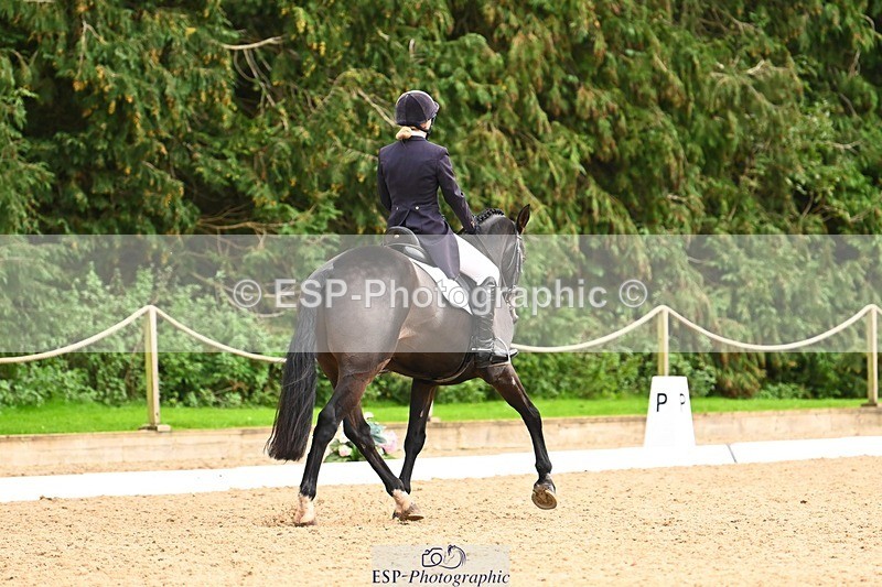 231020-155044-11962 - 217-CEFNPANT.IOLO-Katie.Thomas-DR