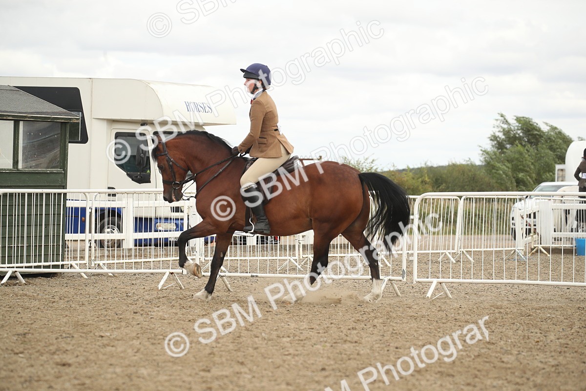 SBM_17637 - Class 508a - Working Veteran 70cm (15-19)