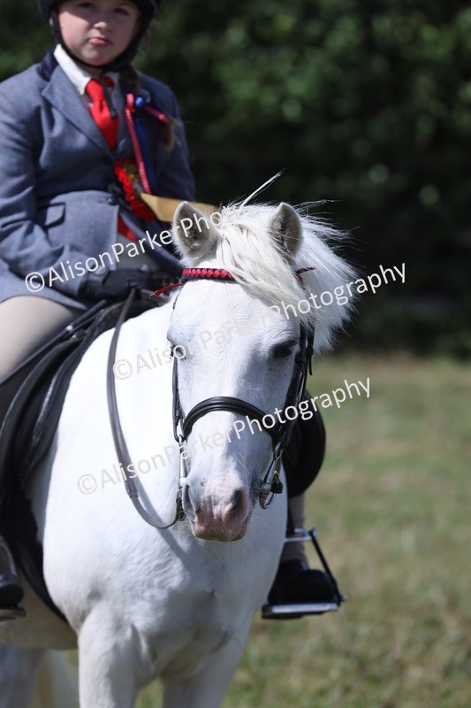 20250831-3439 - Class 25 - Cutest Pair