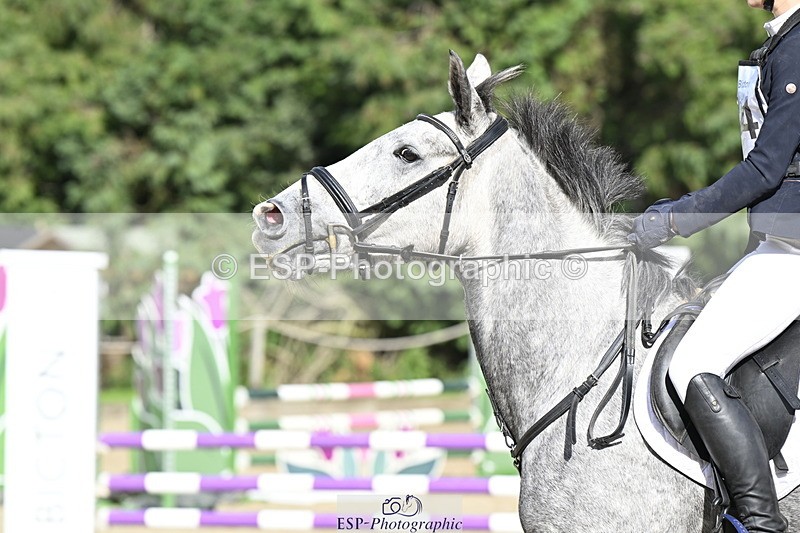 251005A-142600-04403 - Cls 09 Nov 80-85cm