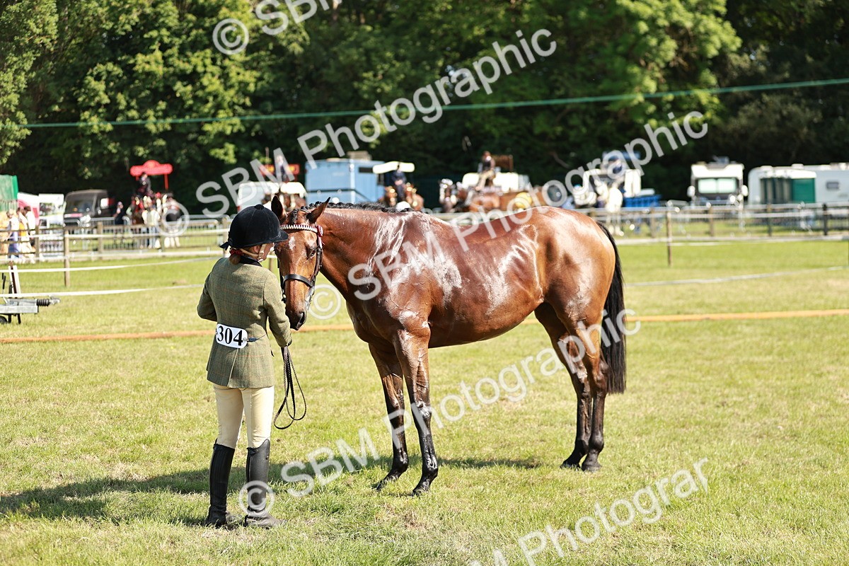 SBM_18909 - Class 114 - RIHS & SEIB Open Working Show Horse