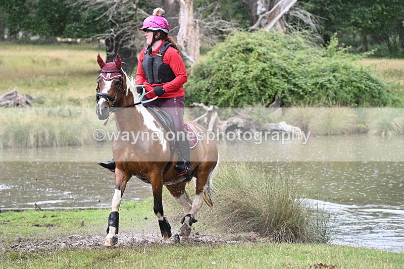 WJ7_5594 - Time at Water 14:00 to 14:53