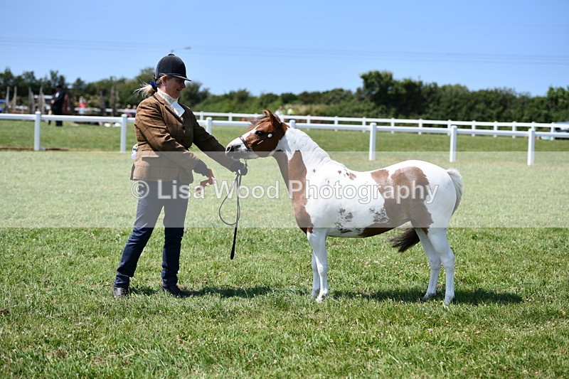 DSC_7788 - Class 64: Coloured Pony 4yrs & over