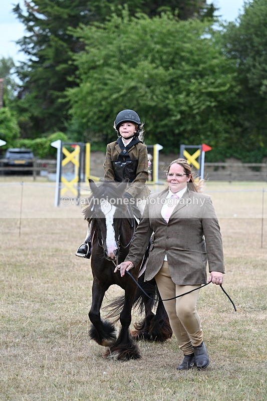 WJ7_8155 - Class 4 Prettiest Mare up to 14.2hh