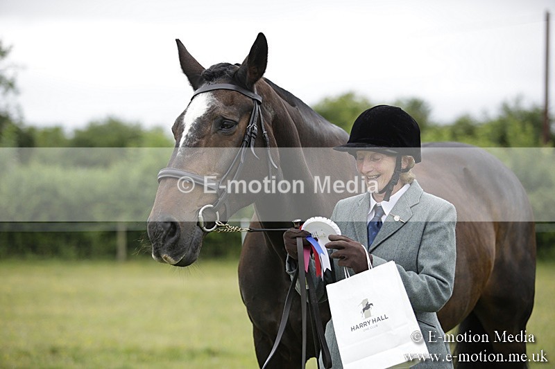 BVR160717-737 - Ring 2 BVRC Show 16/07/17