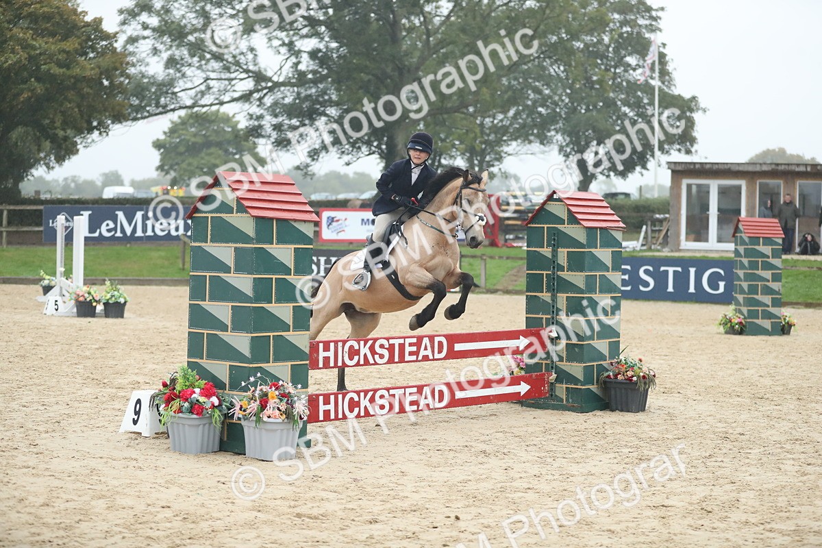 SBM_74200 - Supreme championship Junior Pony 70cm 75cm