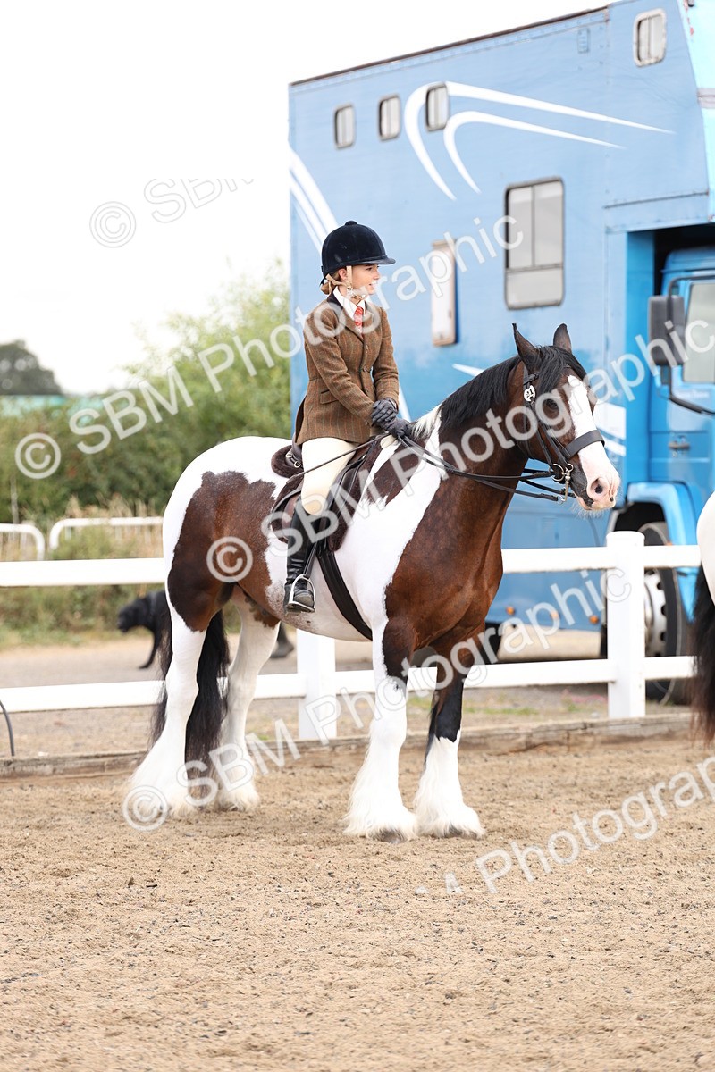 SBM_04214 - Class 54 - Riding Club Horse/Pony
