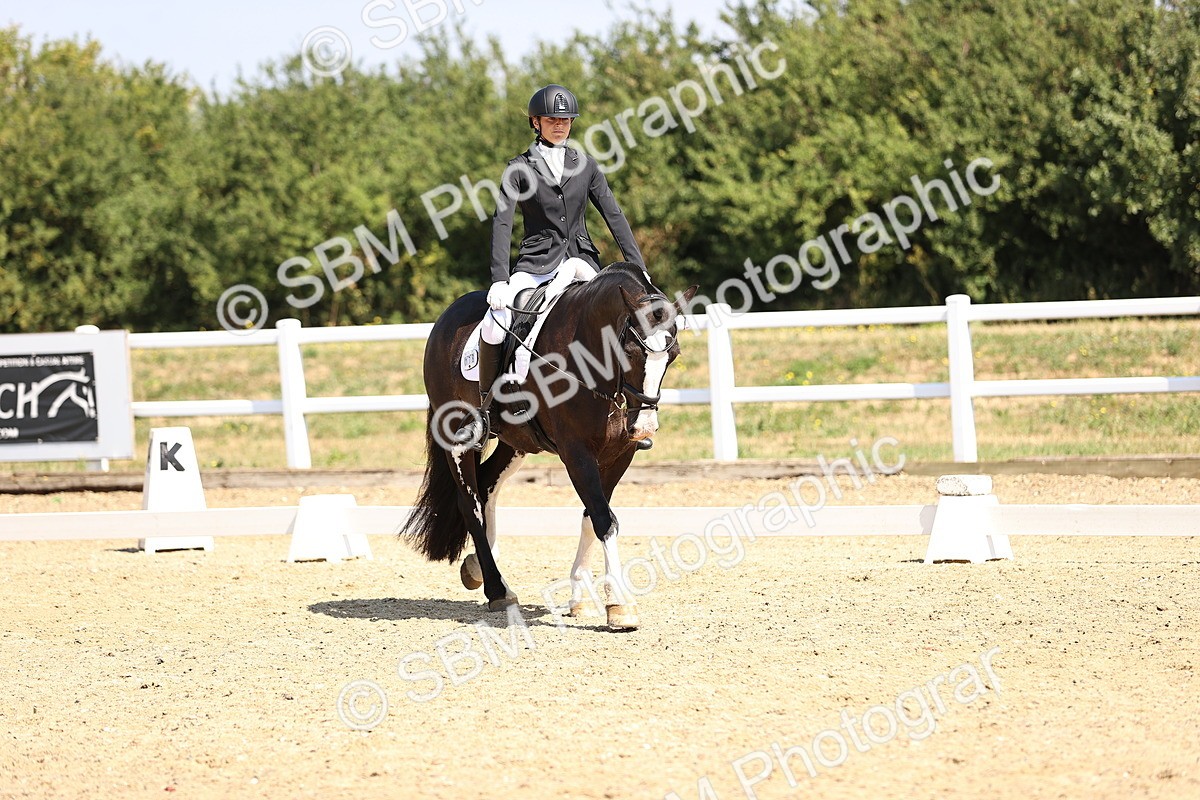 SBM_003639 - Intro 2