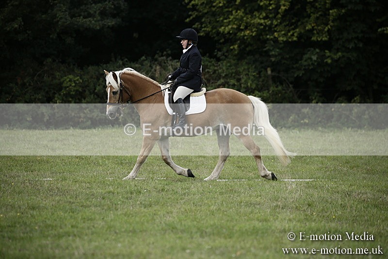 BVR090918 61 - BVRC Dressage and Show Jumping 09/09/18