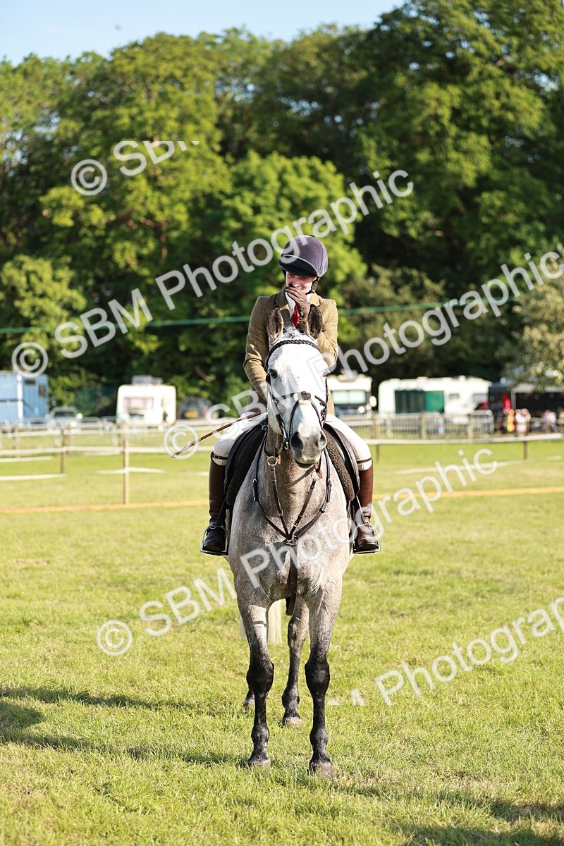 SBM_20044 - Class 115-116 - LIHS BSHA Rising Star Working Hunter & Show Horse