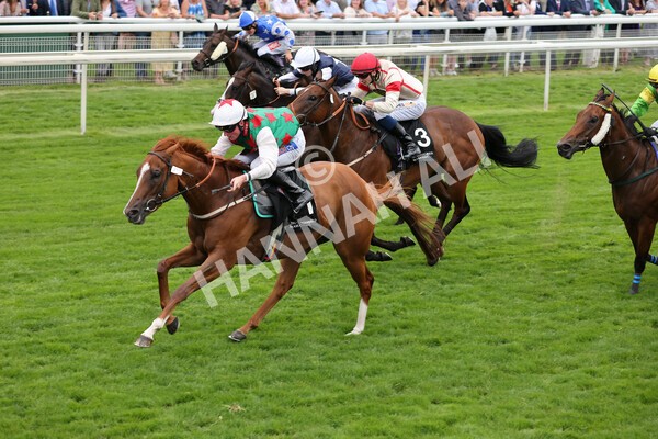 yr18082021r6-16 - Race 6 4.45pm IRE-Incentive It Pays To Buy Irish Stakes