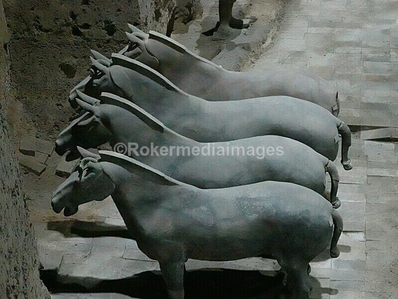 CHINA__0938 - China 2019