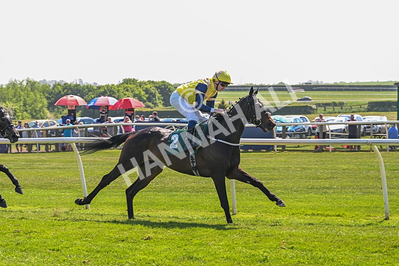 120525-Race 2-Far Ahead-8308 - Race 2