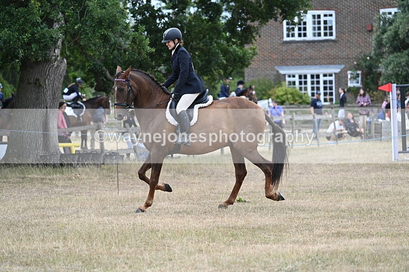 WJ7_0844 - Class 7 Riding Club Show Horse