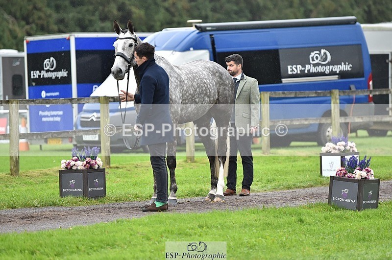 231018-122316-00251 - 032-COOLEY.ROCCO-Ben.Way-TrotUp