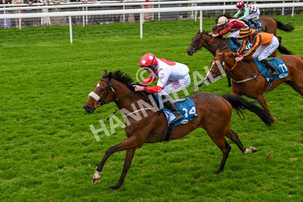 250524-Race 7-Feel The Need-4391 - Race 7 5.05pm Alf Duffield Memorial Handicap