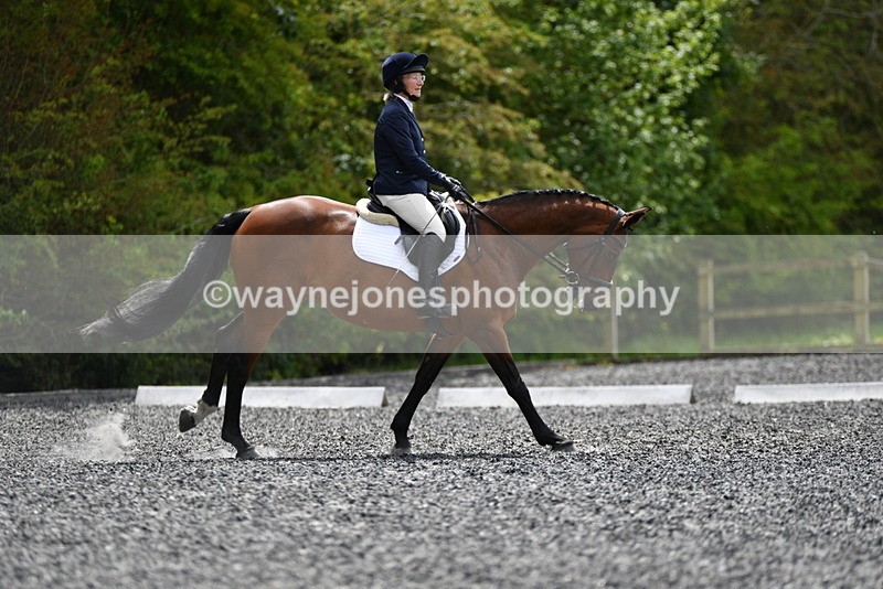 WJ5_0763 - Time 13:04 to 13:42