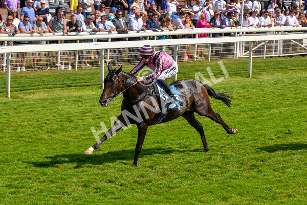 160623-Race 4-Chichester-6339 - Race 4 3.35pm Seat Unique Ganton Stakes