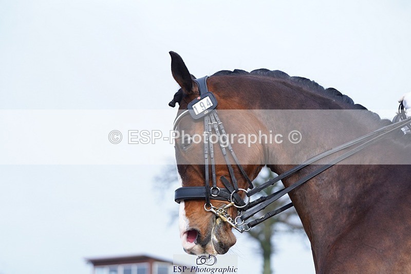 250215-144240-04343 - 194-Fay.Lai-Greenlanes.Lullaby