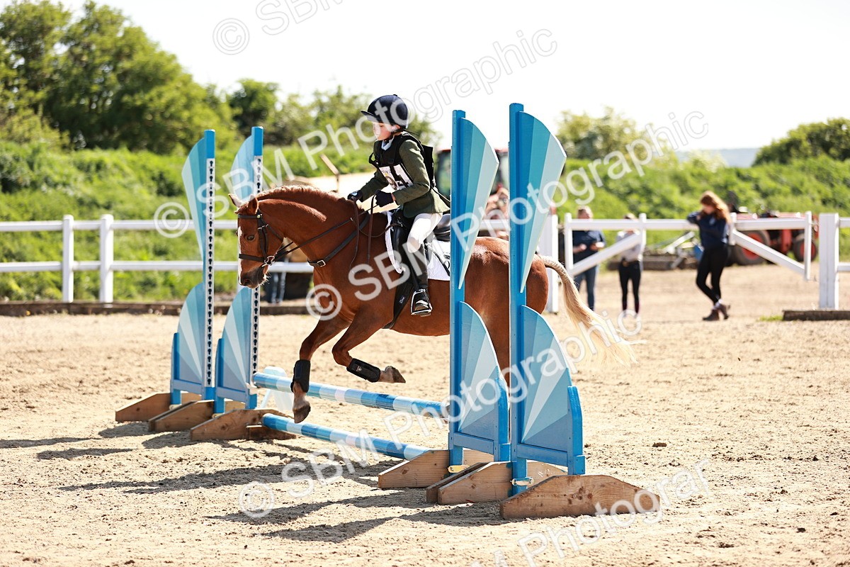 SBM_006931 - Class 2 - 50cm