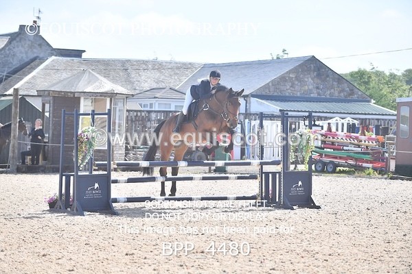 BPP_4480 - CLASS 3 Senior British Novice/ 90cm Open