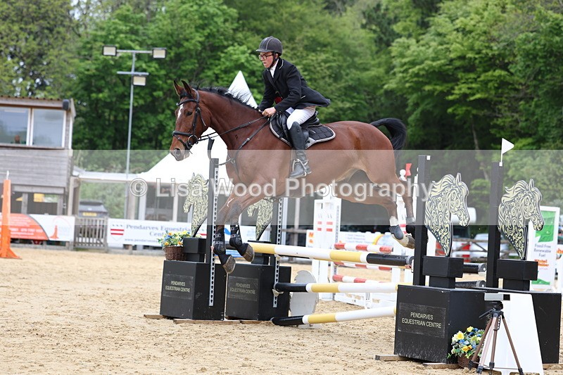 3E7A5996 - Class 4: Senior British Novice/90cm open