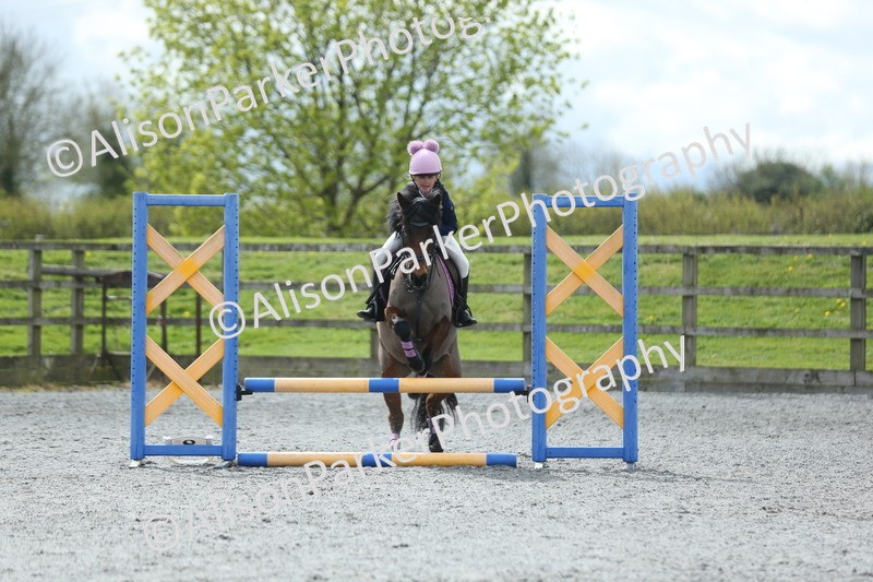 20260412-1756 - Show Jumping